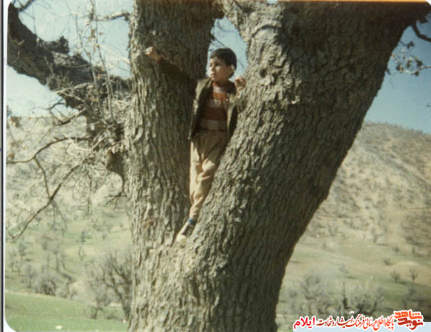 شهید سجاد چراغی از شهدای نیروی انتظامی 
