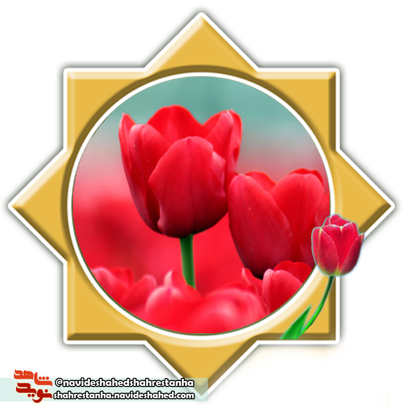 شهید شهید
