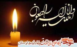 مادر شهید «پرویز دارایی شکرآباد» روز عاشورا آسمانی شد