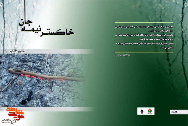 رمان «خاکستر نیمه جان»