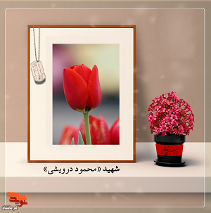 شهادت به همراه دو نَوه
