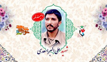 دست از ولی فقیه نکشید