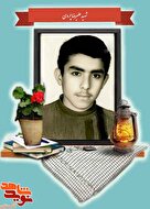 مدارک تحصیلی به جا مانده از شهید «علیرضا چروی» متولد روز ولادت امام رضا (ع)