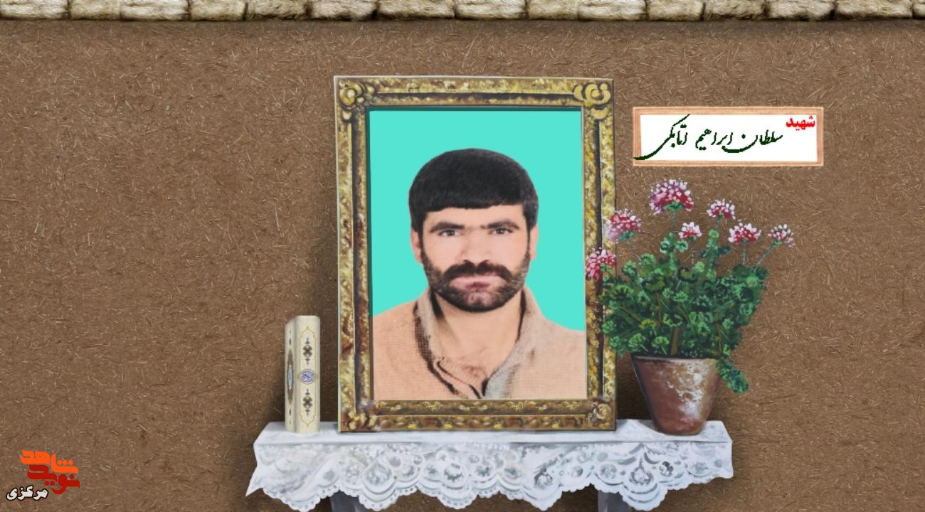 پرستوی سبک‌بال شلمچه
