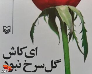 «ای کاش گل سرخ نبود»؛ روایتی داستانی از زخم‌های...