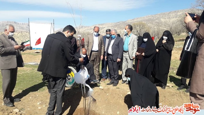 کاشت نهال به مناسبت گرامیداشت لشکر فرشتگان تاریخ ساز