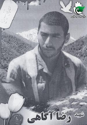 رضا آگاهی نجف آبادی