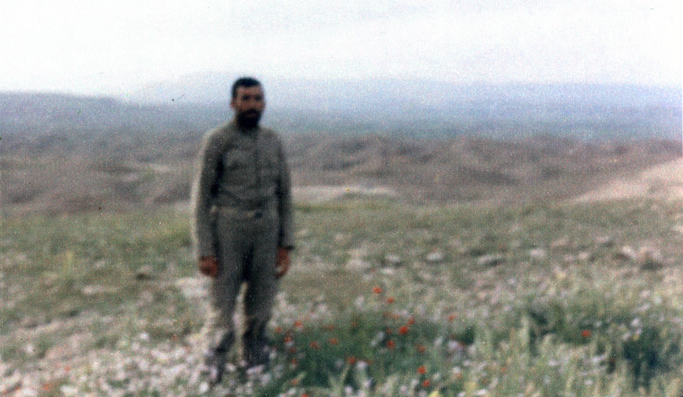 عکس جبهه ای