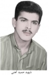 حمید آهنی همدانی